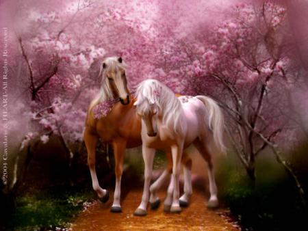 Harmonie de l�'�me ... et �me d'�artiste